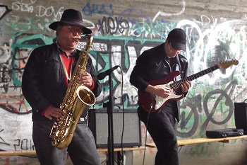 Duo Steiner/Well